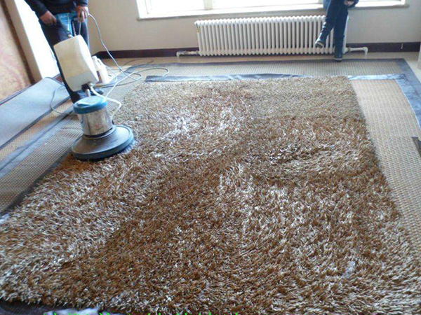 地毯清潔